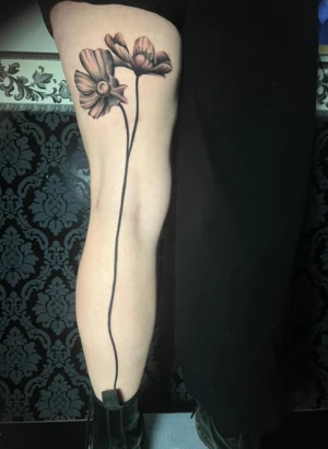 Tattoo Studio Wolfenbüttel