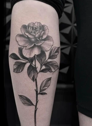 Tattoo Studio Wolfenbüttel